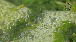 艾草葉放入煮沸的水中，加點食用堿，待變成深綠色時撈出，放入冰水中，瀝干備用。