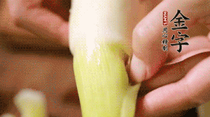 茭白剝?nèi)ネ鈿?，先切片再切絲。