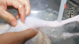 土雞處理干凈。（如果買不到土雞，一般的雞也是可以的，不過(guò)需要汆水。溫水下鍋汆燙7分鐘左右，汆燙時(shí)需要適時(shí)翻動(dòng)。汆燙雞肉是為了去掉生腥味，也是一次徹底清潔的過(guò)程，可以使燉出的湯清爽而不渾濁，鮮香而無(wú)異味）