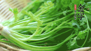 挑選鮮嫩的香菜，洗干凈后，處理成小段。