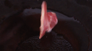 鍋中倒入橄欖油燒熱，放入淡火腿小火煸炒至打卷狀態(tài)。