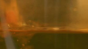 雞肉、鹽、料酒入冷水鍋水開后撇去浮沫，溫水洗凈。