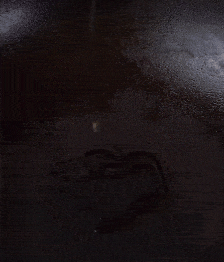 冷鍋熱油，下蒜片爆香，下香腸、玉米筍、蓮藕、西芹爆炒，期間加點(diǎn)水，翻炒1分鐘后加新鮮百合片，翻炒30秒。