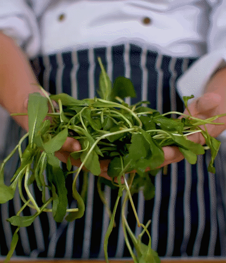 馬蘭頭焯水，切成細(xì)末。
