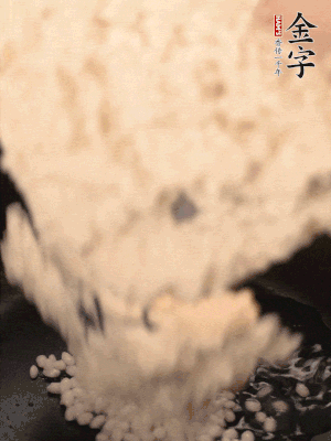 浸泡半天的糯米電飯鍋煮熟。