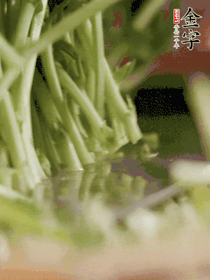 新鮮豌豆苗割下洗凈。